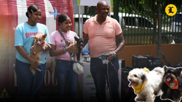 Amigos de 4 patas : Decenas de familias celebran el Día de las Mascotas en Santo Domingo