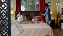 Ilzam e Ishq - Episode 14 - 20th July 2025 - [ Humayoun Ashraf & Maria Malik ] - HUM TV