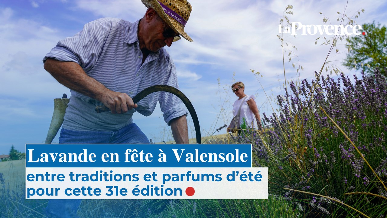 Lavande en fête à Valensole : entre traditions et parfums d’été pour cette 31e édition