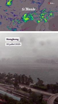 Typhon Wipha : de nombreux arbres déracinés et plusieurs échafaudages effondrés à Hongkong