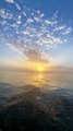 🌻#sunset#sunrise#ocean#sea#oceanlife#discover