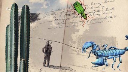 Cuaderno de campo, Culebras