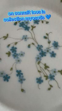 te souviens tu de la vaisselle myosotis ?