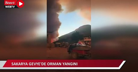 Sakarya Gevye'de orman yangını