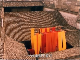 《菊豆》：张艺谋经典之作，巩俐震撼演绎的感人故事 🎬