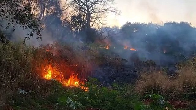 Incêndio em vegetação gera grande nuvem de fumaça no bairro Santa Cruz, em Cascavel