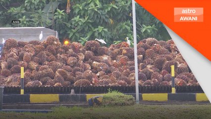 Aktiviti pengambilan untung dijangka dominasi minggu ini