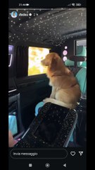 Fedez silvio felice di viaggiare in auto