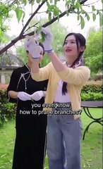 From Ashes to Him Full Chinese Drama