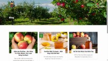 ecovine