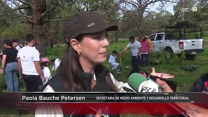 Analizan acciones para vehículos que no pasen la verificación vehicular: SEMADET