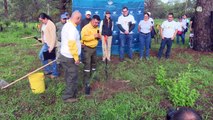 CRT reforesta Área Natural Protegida del Bosque de la Primavera