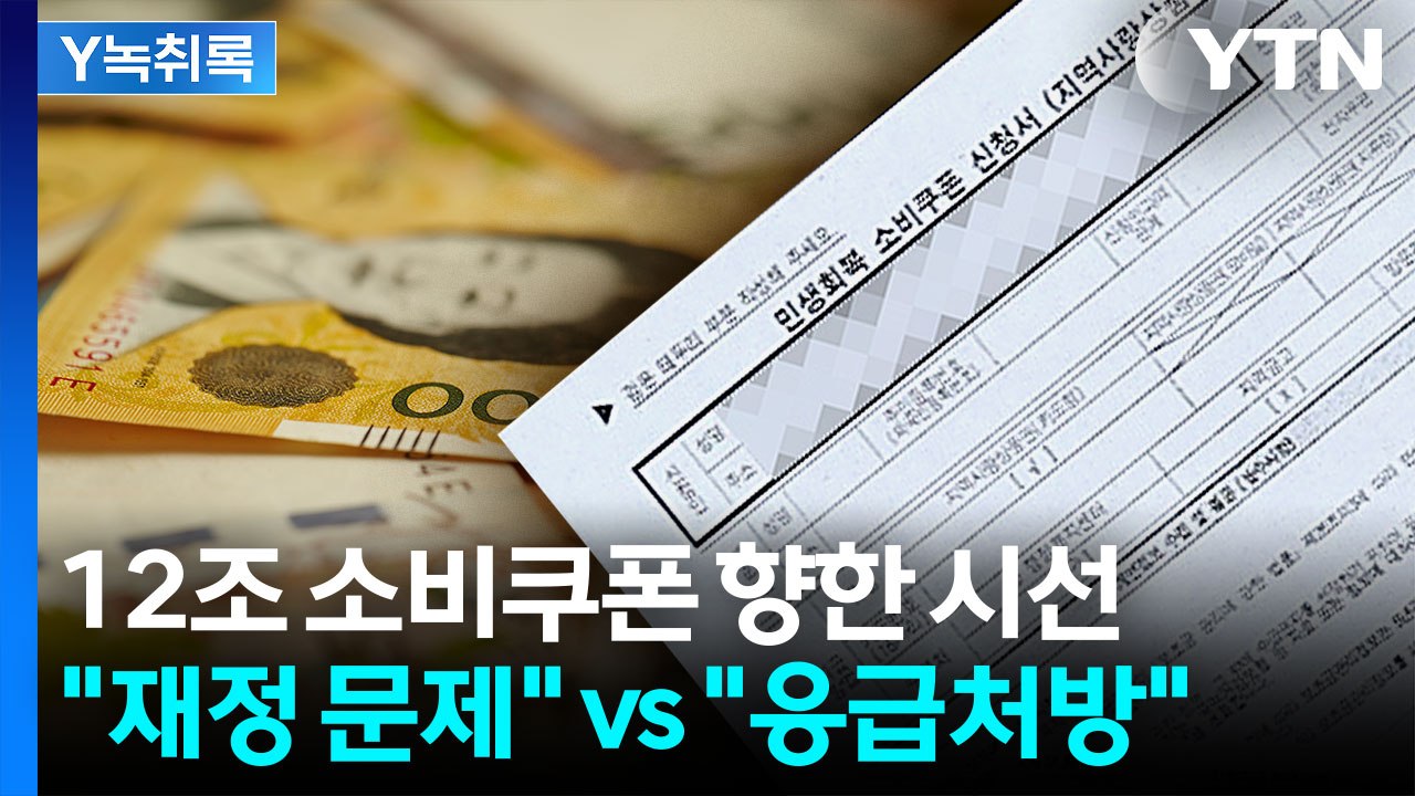 소비쿠폰, 재정에 문제없나?..."미래의 손실을 막기 위한 보험" [굿모닝 경제] /...