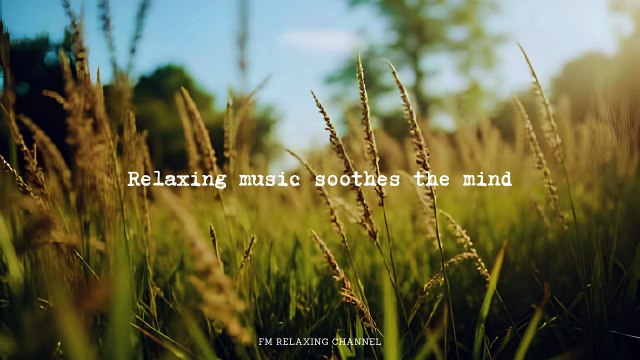 Relaxing Piano Music: Romantic Music, Beautiful Relaxing Music, Sleep Music, Stress Relief