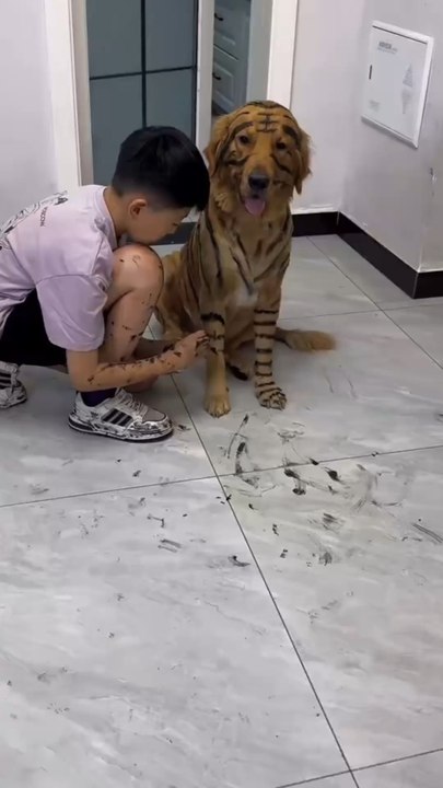 🤣Tiger made in China😂