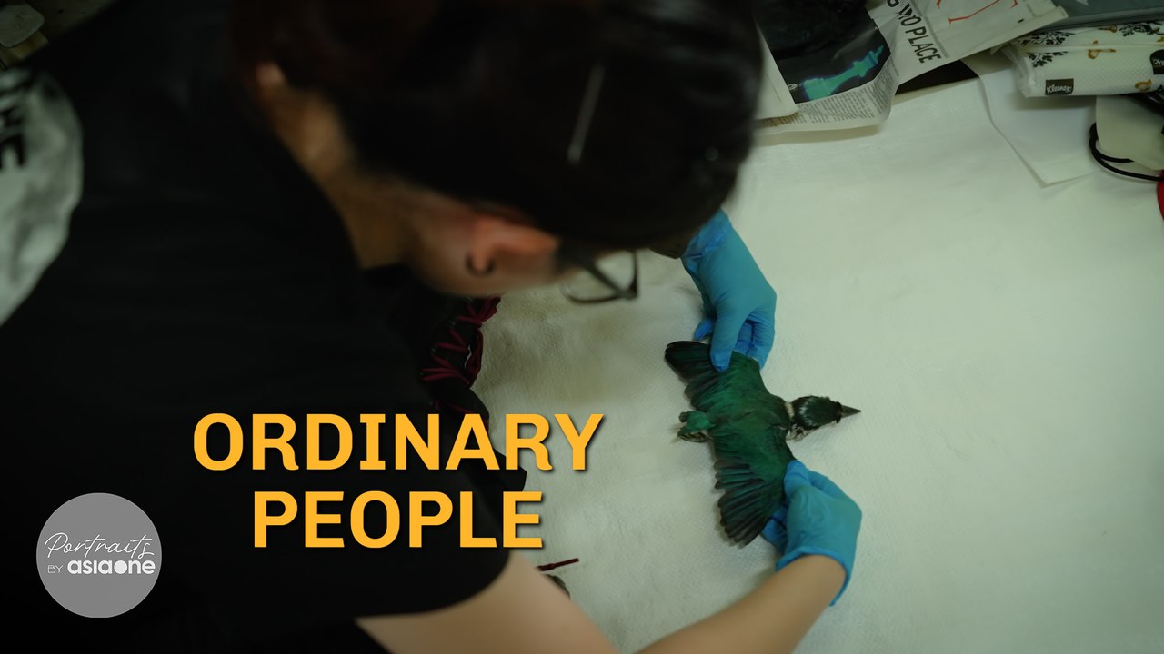 Why this photographer captures dead wildlife | Ordinary People