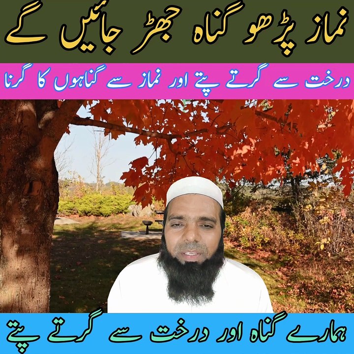 نماز پڑھو نماز پڑھنے سے گناہ جھڑ جاتے ہیں