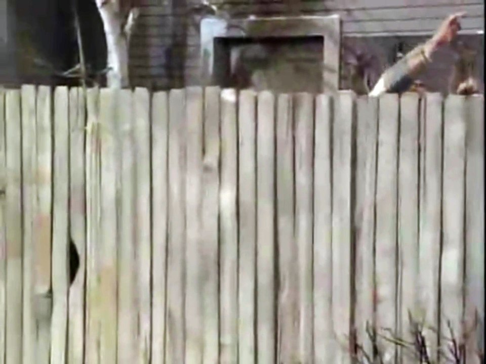 Wind Dancer Productions, Inc./Touchstone Television/Buena Vista International Television (1993/2006)