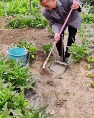 Weird stuff that will make you LOL😂