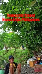 Tomacruz Street in Cabanatuan City, Nueva Ecija in the Philippines