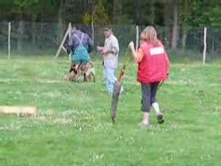 entrainement de Cisco à 10 mois