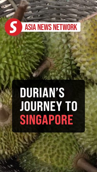 The Straits Times | A durian's journey from Malaysia to Singapore