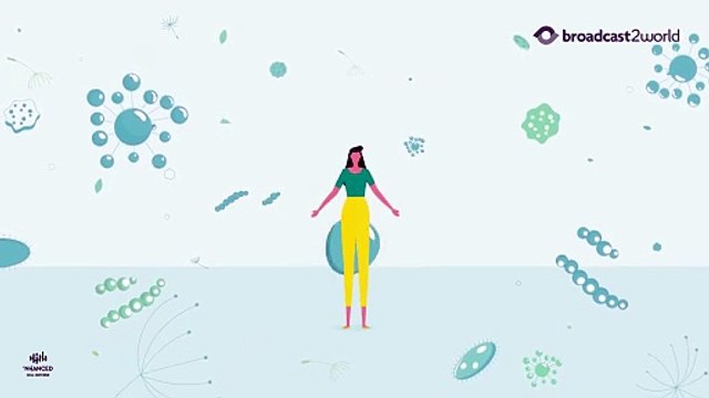 How a 2D Animation Studio Simplifies Complex Ideas for B2B Brands