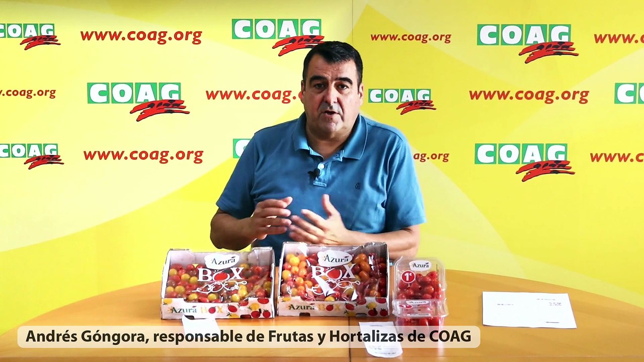 Andrés Góngora, responsable frutas hortalizas COAG