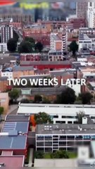 A surrogate for the Alpha King