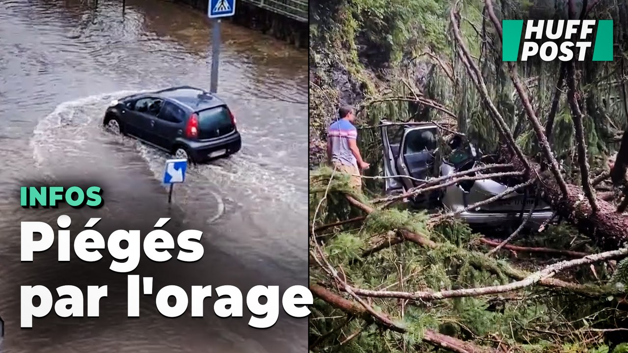 Arbres déracinés, routes bloquées... Les images des orages qui ont secoué l'est de la France