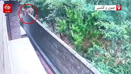 ترال: تیندؤں کی موجودگی سے عوام پریشان