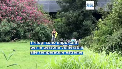 Rifugi climatici, dove sfuggire in città quando il caldo si fa sentire