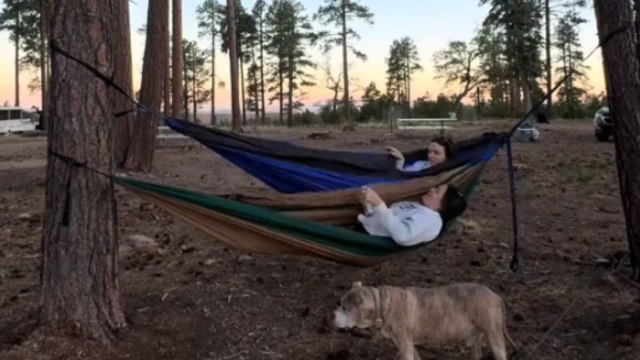 Girl tries to relax on a hammock but ends up getting tossed off