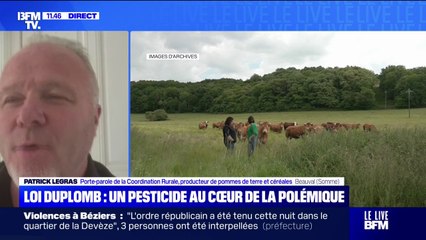 Pétition contre la loi Duplomb: "L'Anses a voulu faire du zèle en supprimant un grand nombre de produits autorisés en Europe", estime Patrick Legras (Coordination rurale)