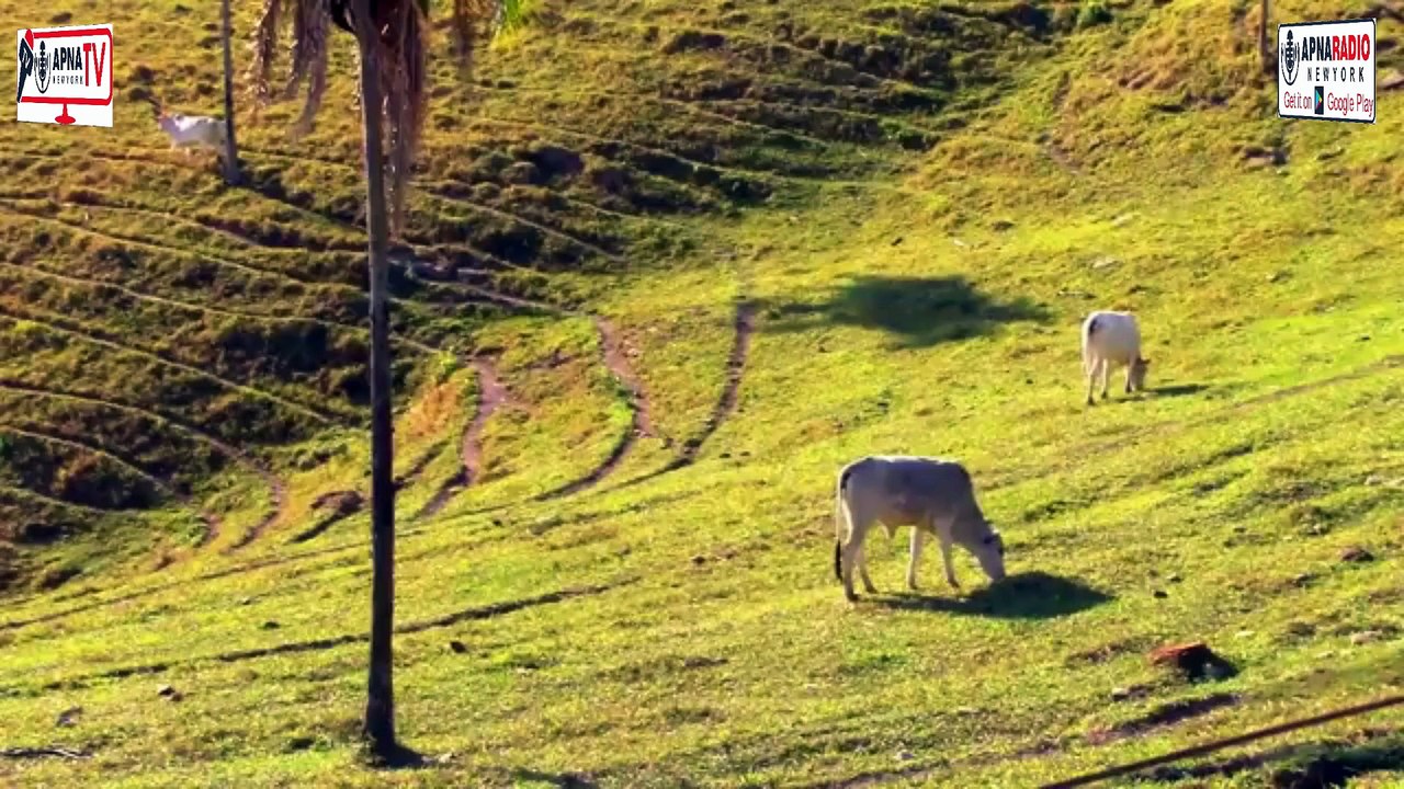 Discover the MOST PEACEFUL Village Life on Earth! Apna Tv New York 21-07-2025