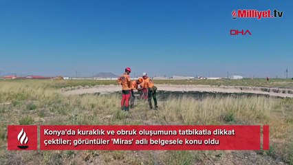 Kenti dev çukurlar yutuyor! 33 metre derinliğinde, sayı her geçen gün artıyor: 'Riski en yüksek bölge'