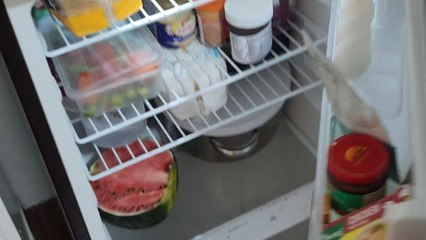 Man treats viewers to an unexpectedly cat-astrophic sight upon opening his fridge