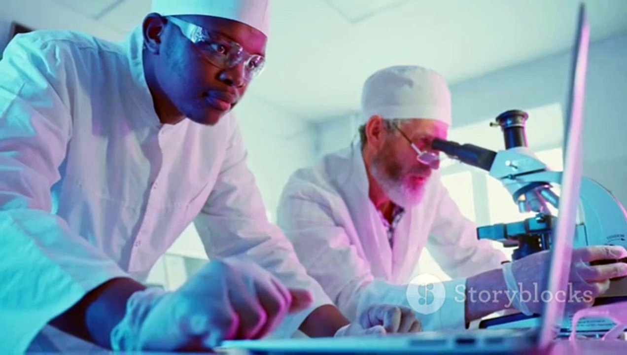Expert Research Paper Helper: Get Professional Assistance for Academic Success