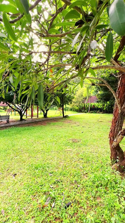 Best Family Resort in Wayanad