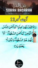 Al-Quran - Surah 2 - Al-Baqara - Ayah 13 | daily islamic tv