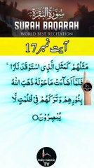 Al-Quran - Surah 2 - Al-Baqara - Ayah 17 | daily islamic tv