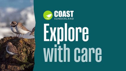 Maximize Your Google Ads Campaigns 🚀