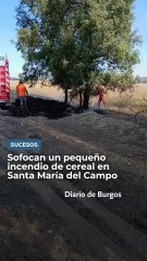 Sofocan un pequeño incendio de cereal en Santa María del Campo.