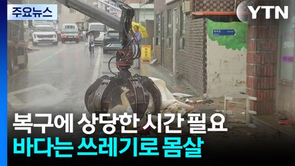 복구에 상당한 시간 필요...바다는 쓰레기로 몸살 / YTN