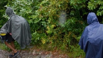 Monsoon: लद्दाख से उत्तराखंड तक ट्रेकिंग डेस्टिनेशन्स