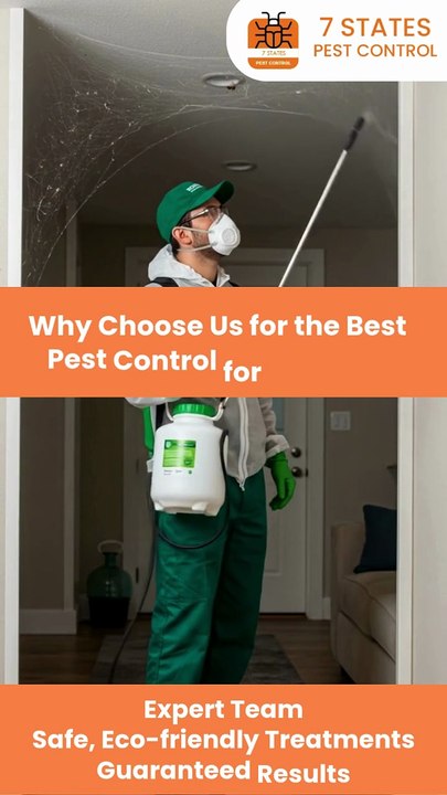 Protect Your Home with Melbourne’s Best Spider Control Experts