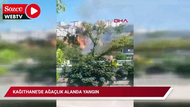 Kağıthane'de ağaçlık alanda yangın