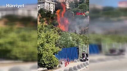 Kağıthane'de ağaçlık alanda yangın!