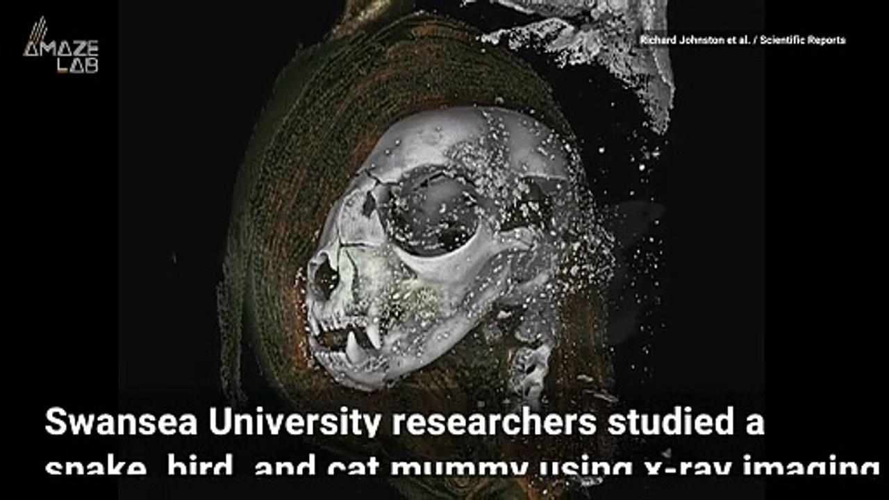 What Exactly Is Going on Inside an Ancient Mummy?