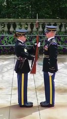 Beautiful and complete inspection.